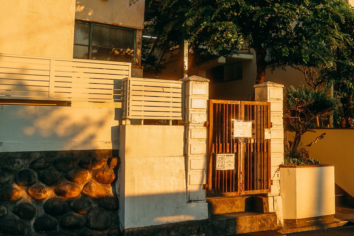 でにひろ tweet media