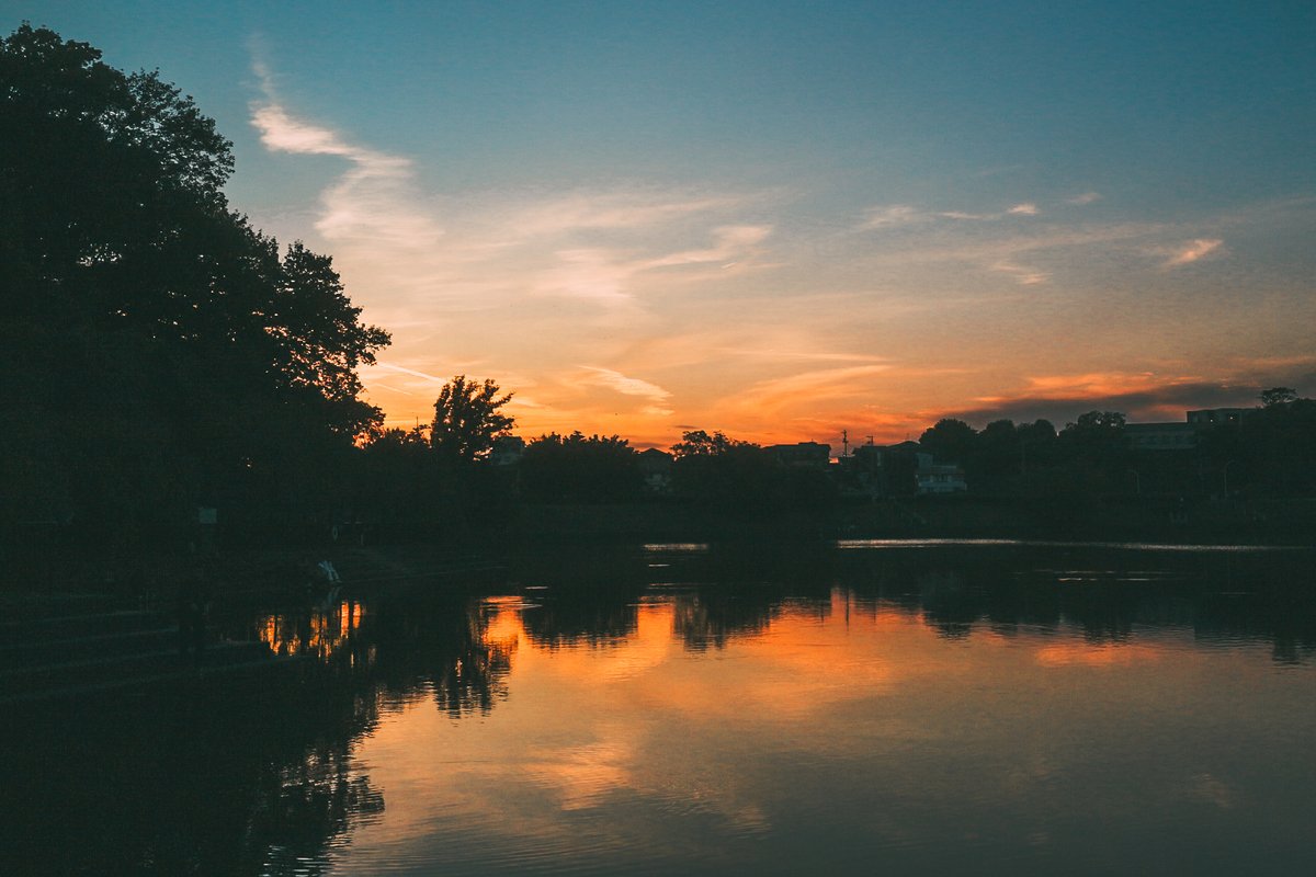 でにひろ tweet media