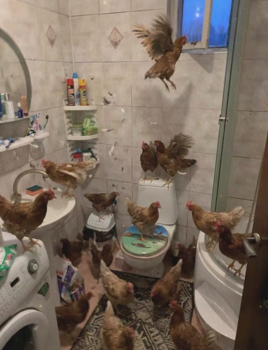 SolidKroket tweet media