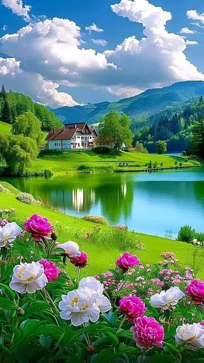 Good Morning 🌅 
Have a joyful Saturday🌺🪻