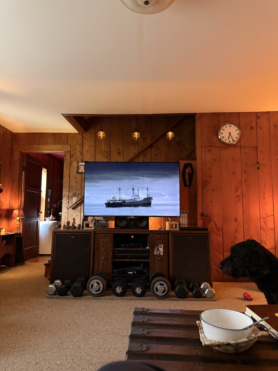 Jeremy ↙️↙️↙️ tweet media