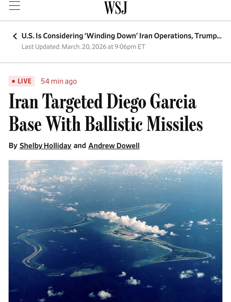 Patricia Marins tweet media