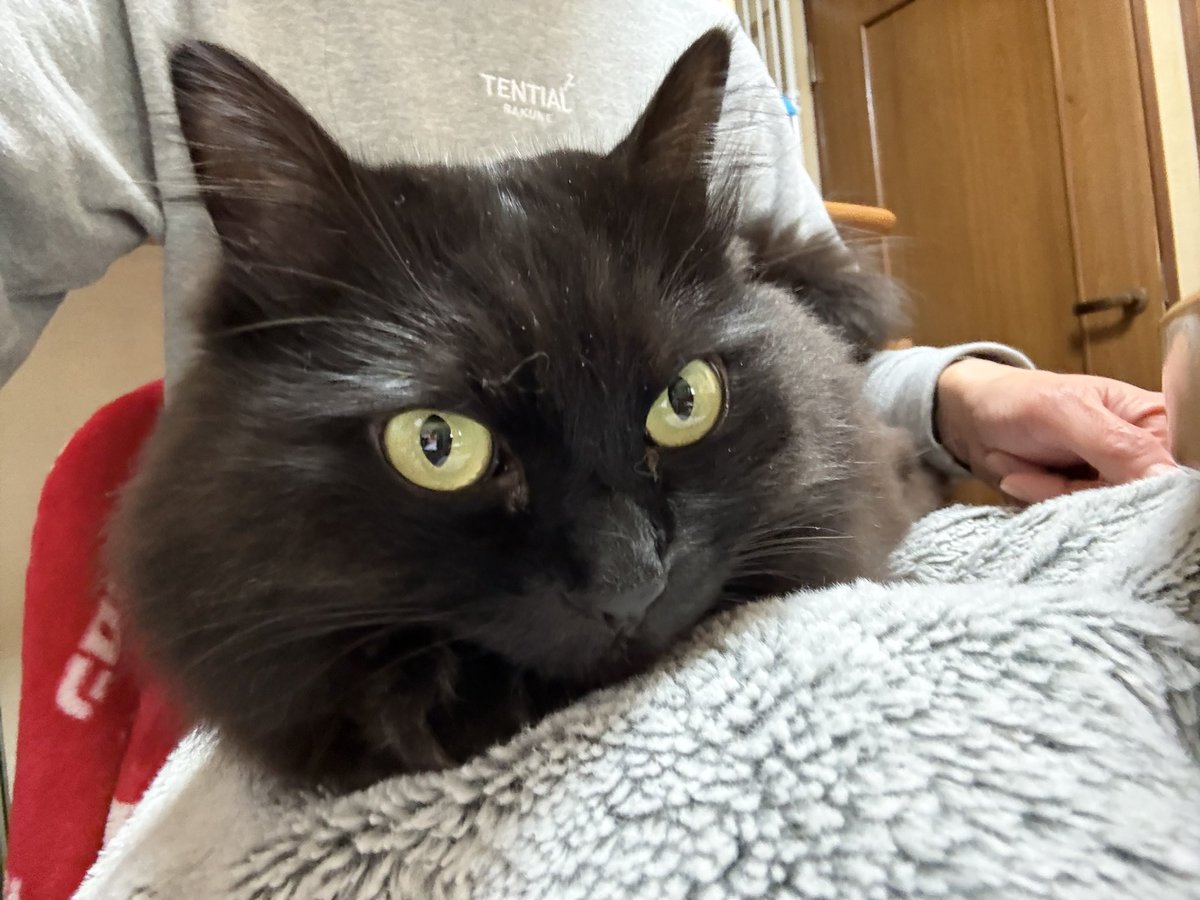 Pinoko@49yo tweet media