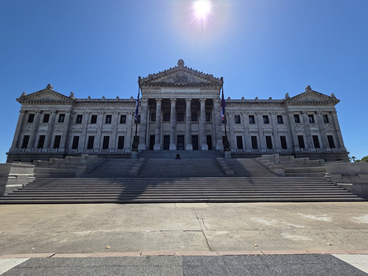 Rafa Guedes tweet media