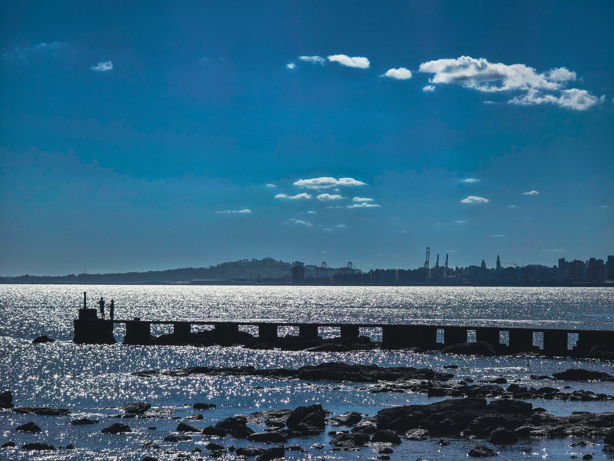 Rafa Guedes tweet media