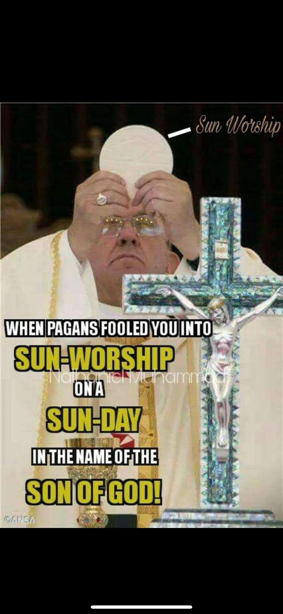 Musa of the TRIBE of Judah 🐯 tweet media