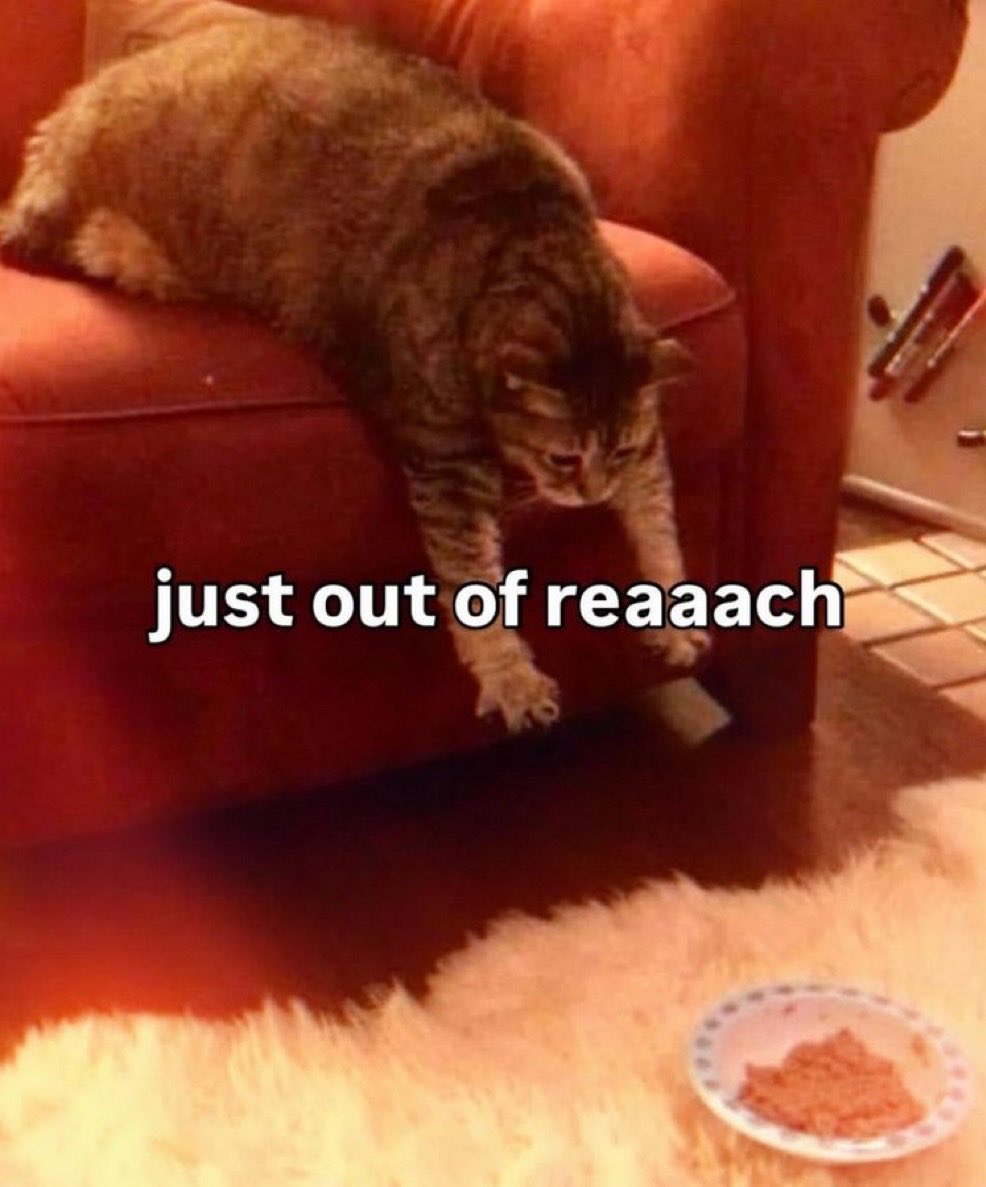 ˚₊‧꒰ა naomi ໒꒱‧₊˚ tweet media