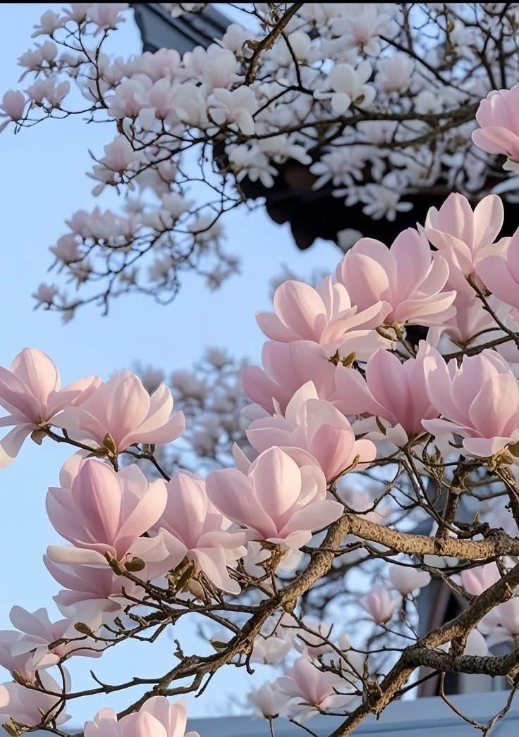 Таша tweet media