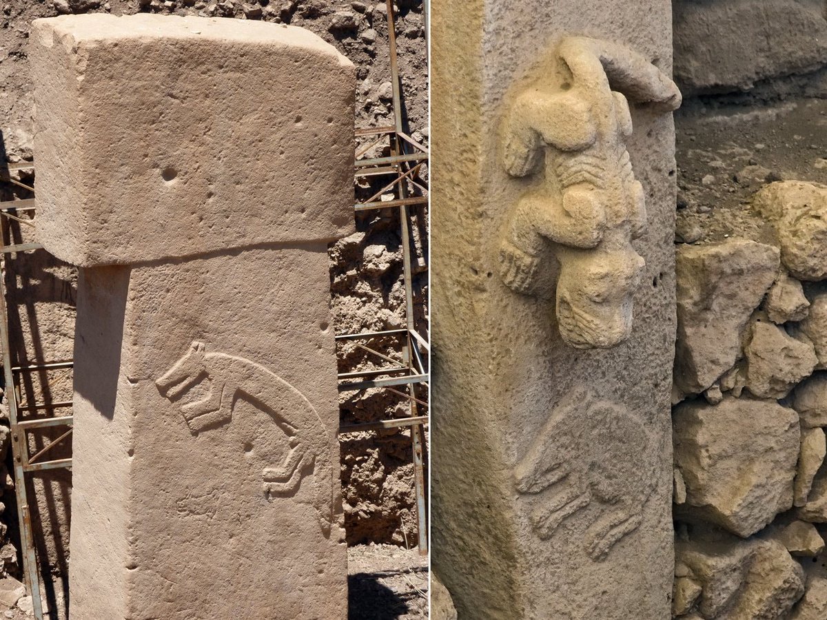 HistContent's tweet photo. The most outdated idea about prehistory is that these people were primitive.

At Göbekli Tepe, hunter-gatherers more than 11,000 years ago were already building symbolic architecture where animal imagery was structured, repeated, and probably meaningful. Foxes dominate Enclosure B. Boars dominate Enclosure C. On Pillar 27, the predator and boar are not just animals. They look like a scene.

Did civilization begin with farming, or with belief powerful enough to organize memory, fear, and ritual first?