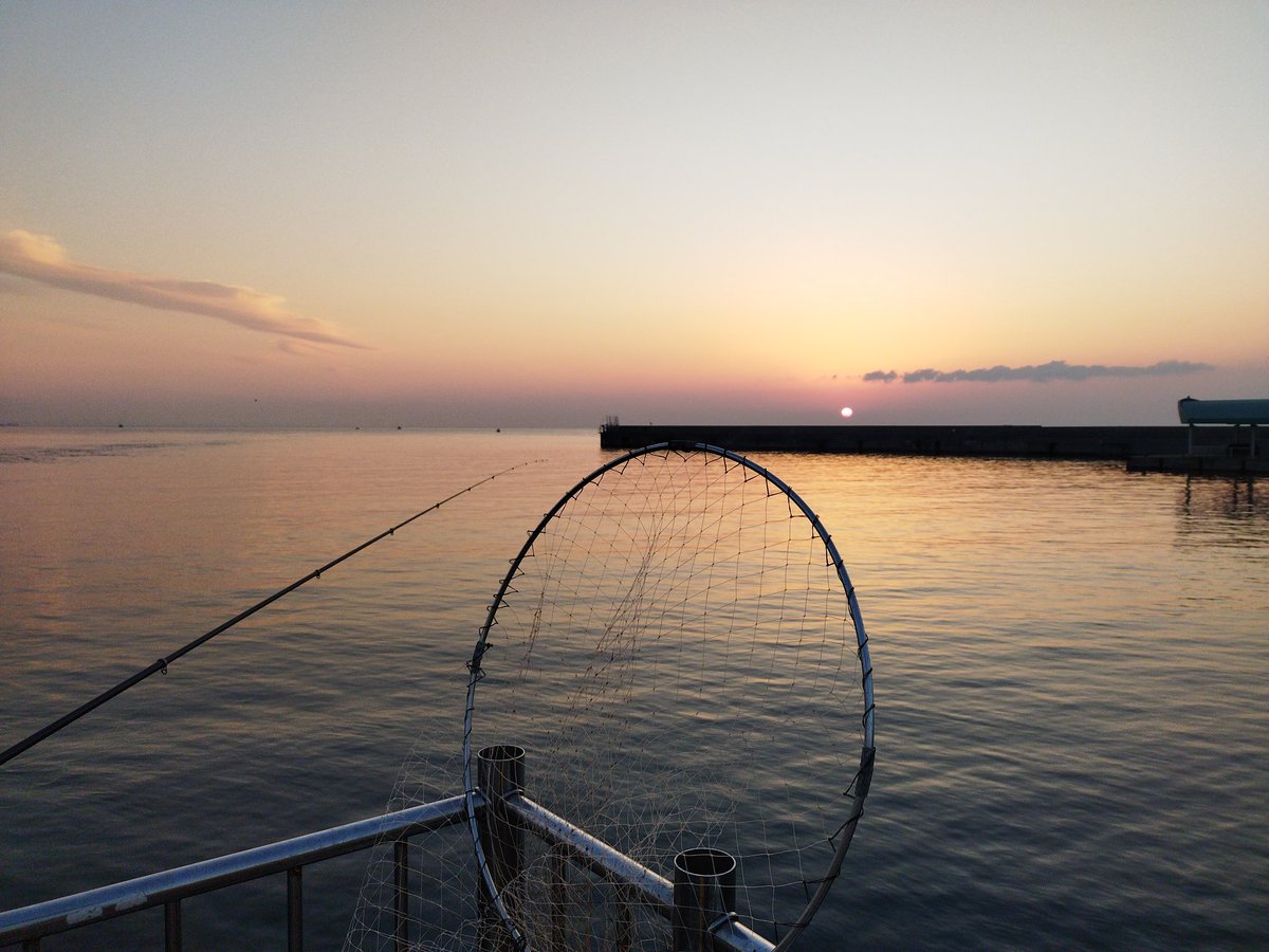 grasskobe's tweet photo. 天気が良いので、兄と淡路島翼港へエビ撒き釣り🎣6時前到着で12台め。風も無く快適ですが18時迄ボウズ！どこ流してもクサフグ🐡電気ウキから何とか良型メバルが釣れました!日中は釣れません。#ヤフオク#淡路島釣り#ラルフ#アバクロ#メバル#翼港 https://t.co/rBsHt6Zo3P