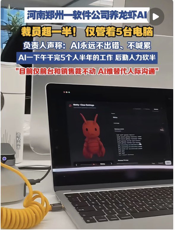 禿道道🐟 tweet media