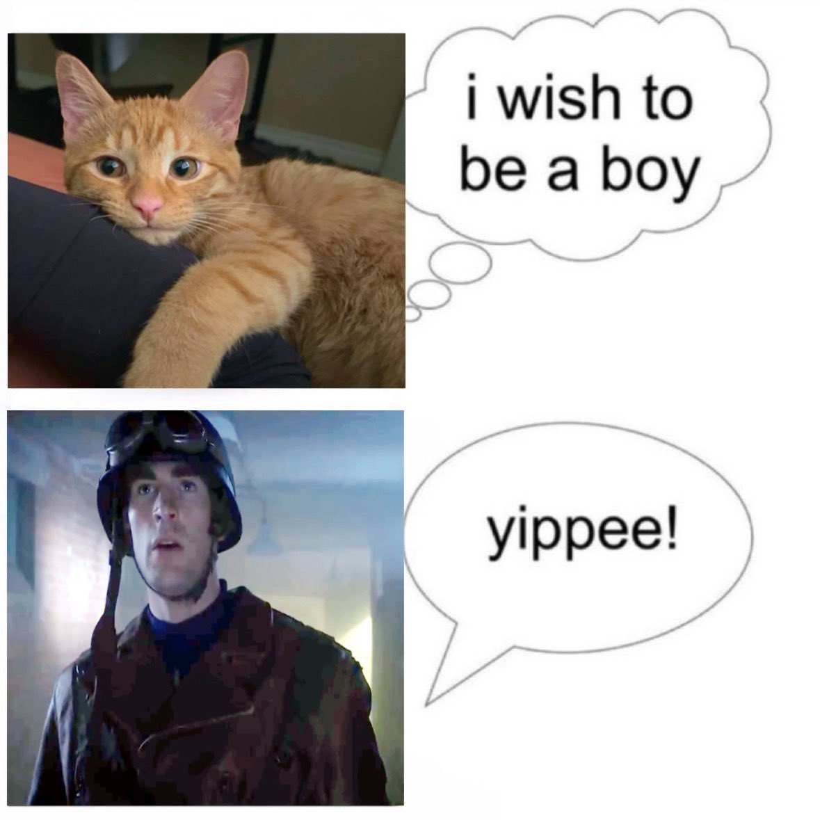 nick ☆ tweet media