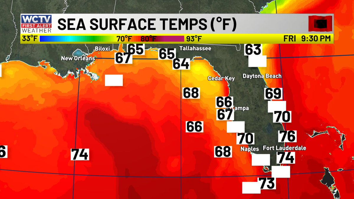 WCTV First Alert Weather tweet media