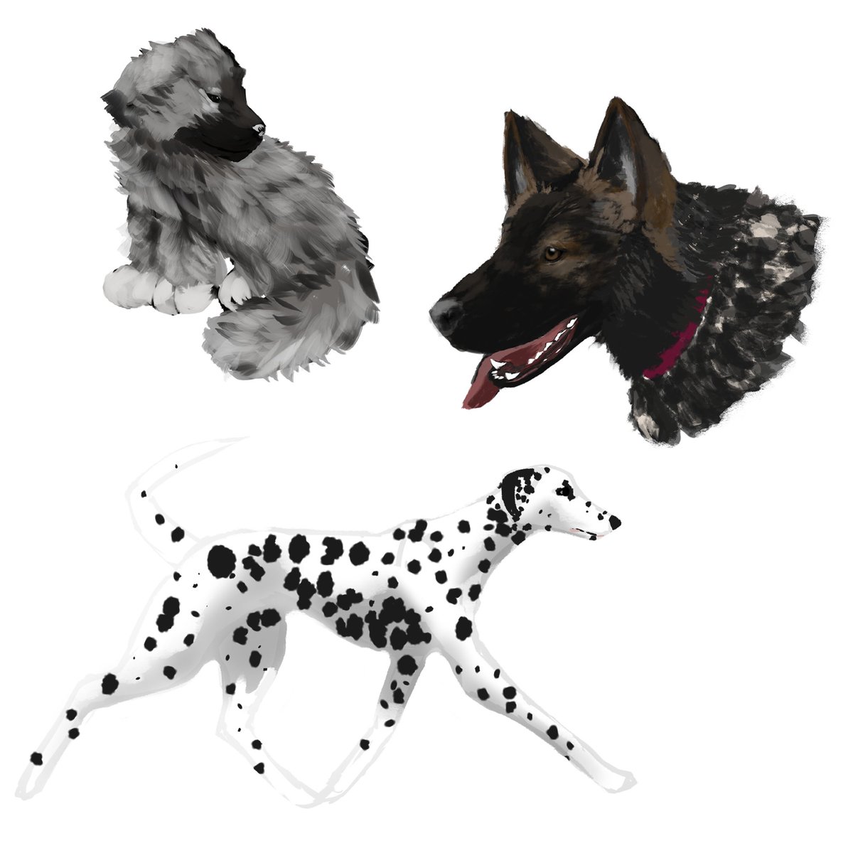 Lyne Lilac 🌟 tweet media