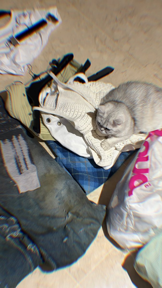 Heize News 💔🦠헤이즈 뉴스 tweet media