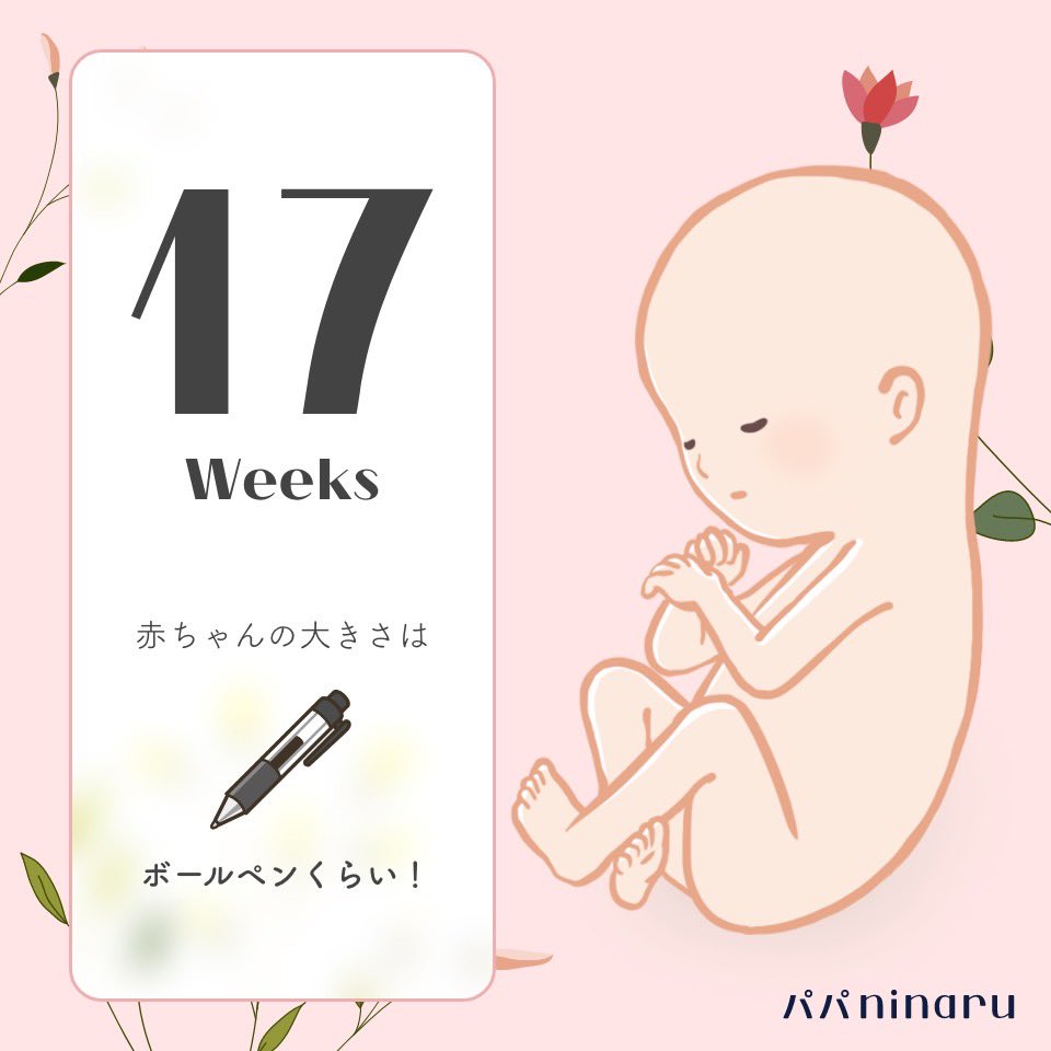 kiki＊初マタ＊19w tweet media