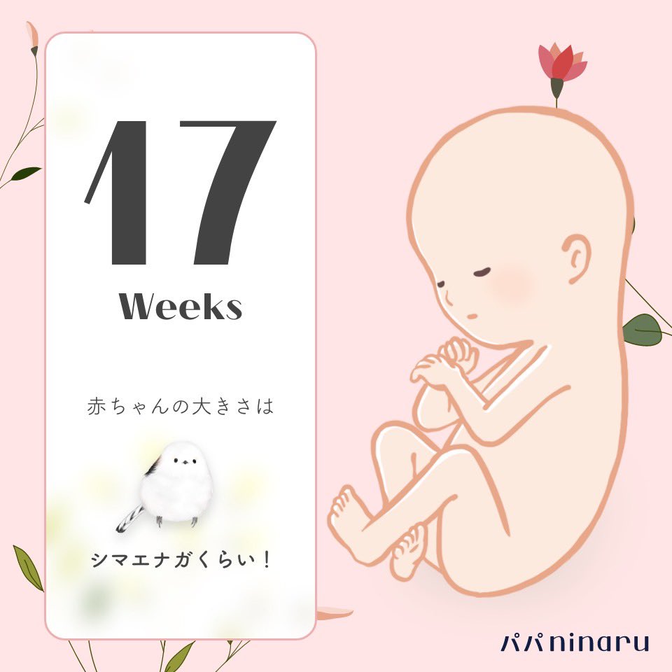 kiki＊初マタ＊19w tweet media