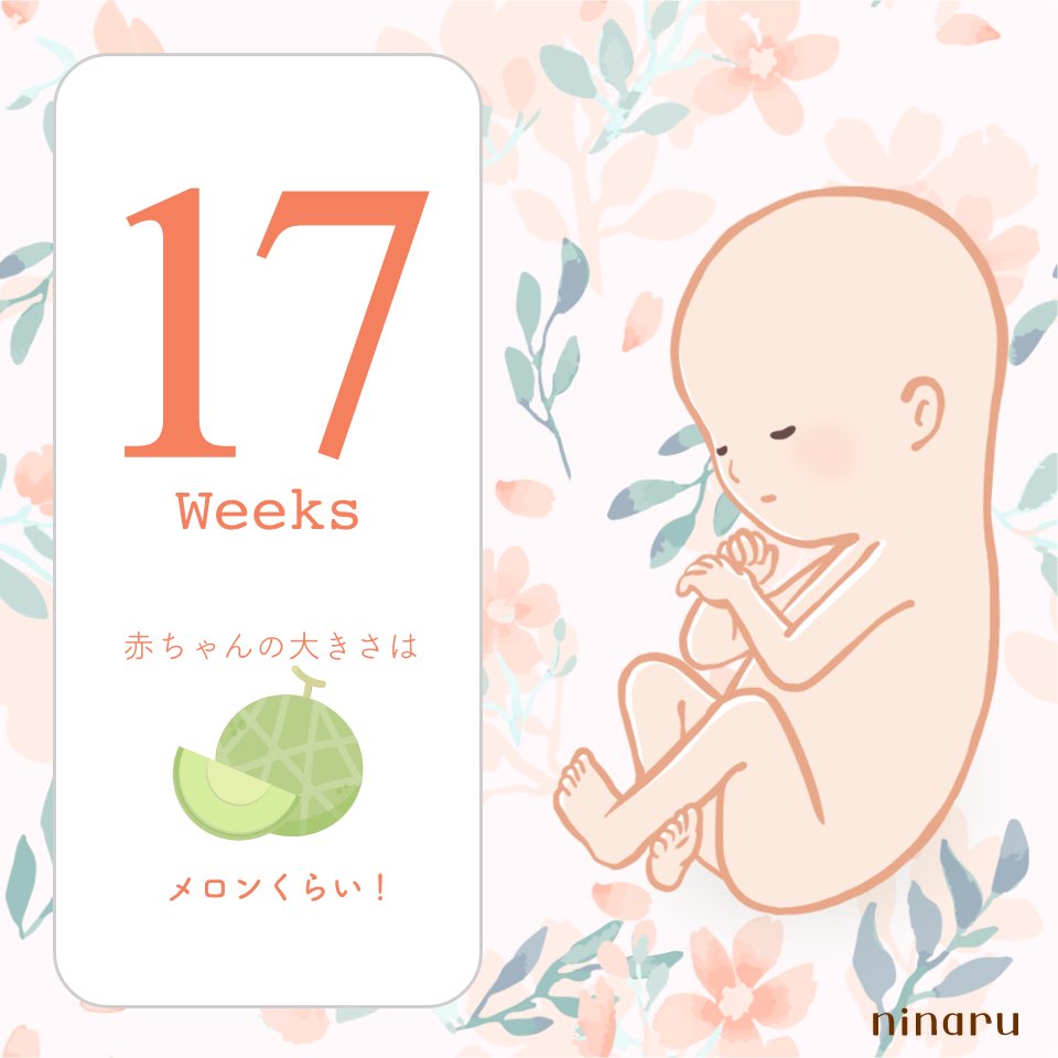 kiki＊初マタ＊19w tweet media