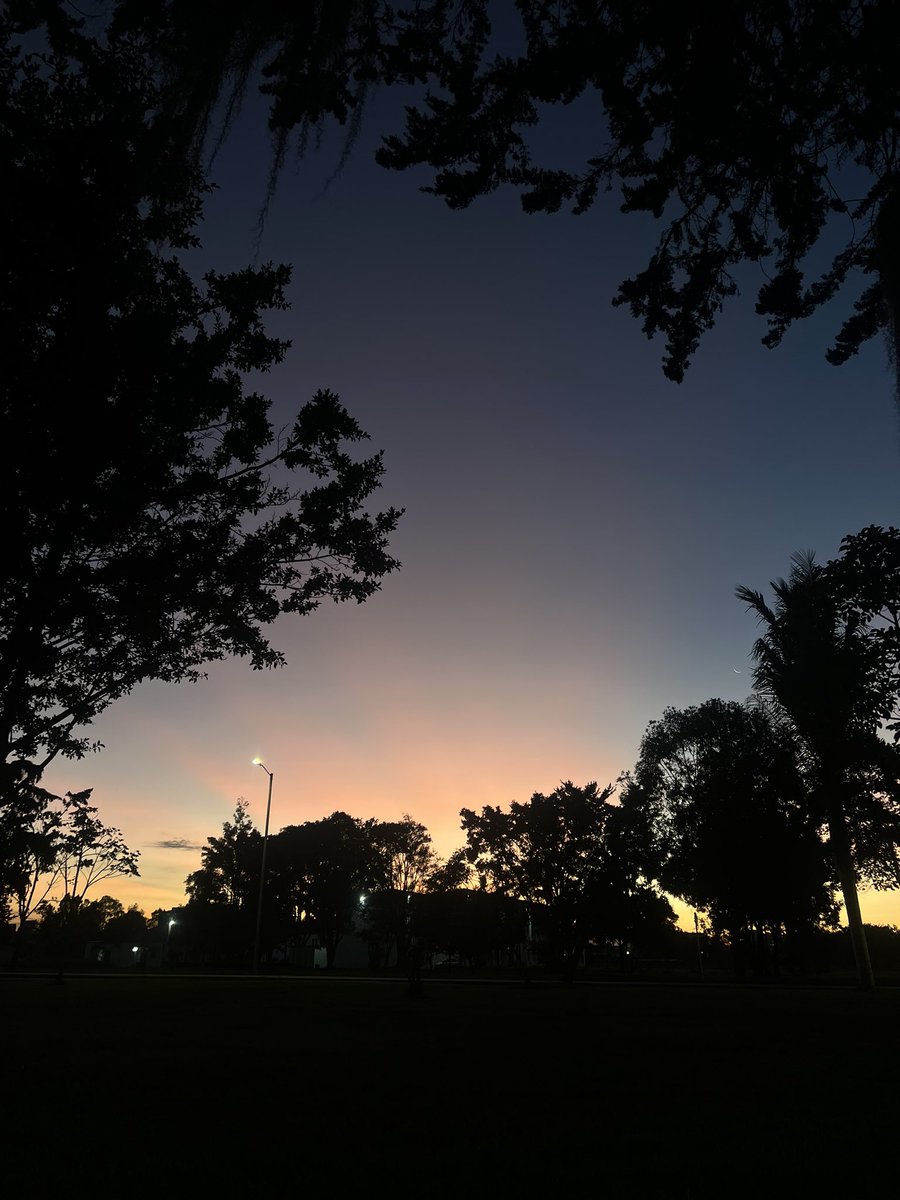 🕸️Dalhia Negra🌑🦇 Boy Division tweet media