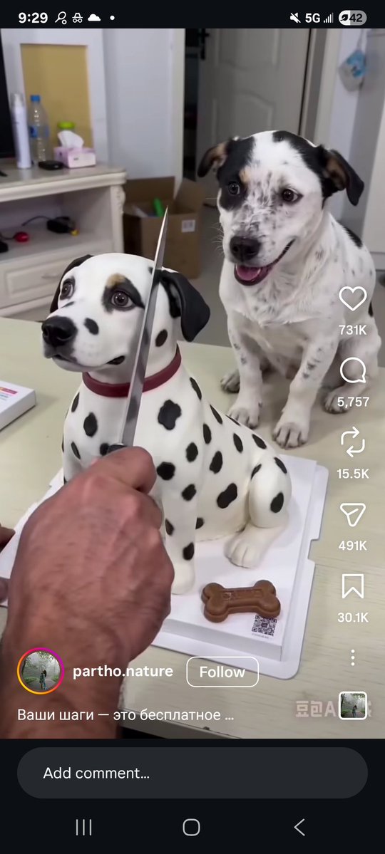 Oliver Traldi tweet media