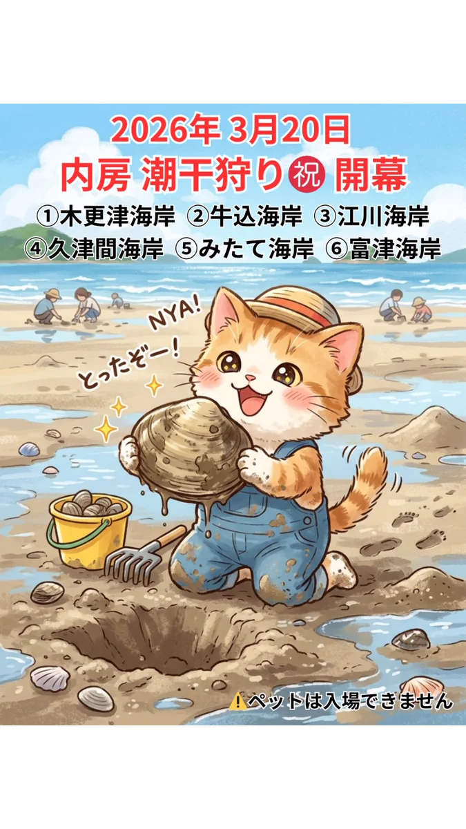 ひでっぴ🐱木更津 on X: 
