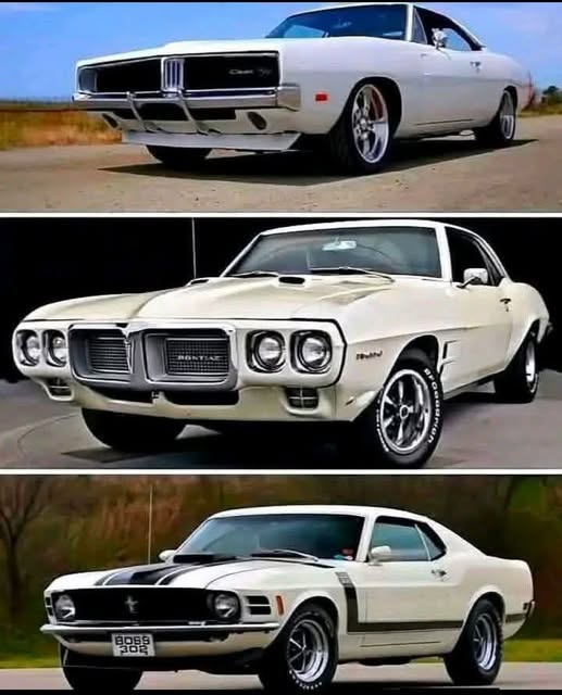 Connie 🇺🇸 tweet media