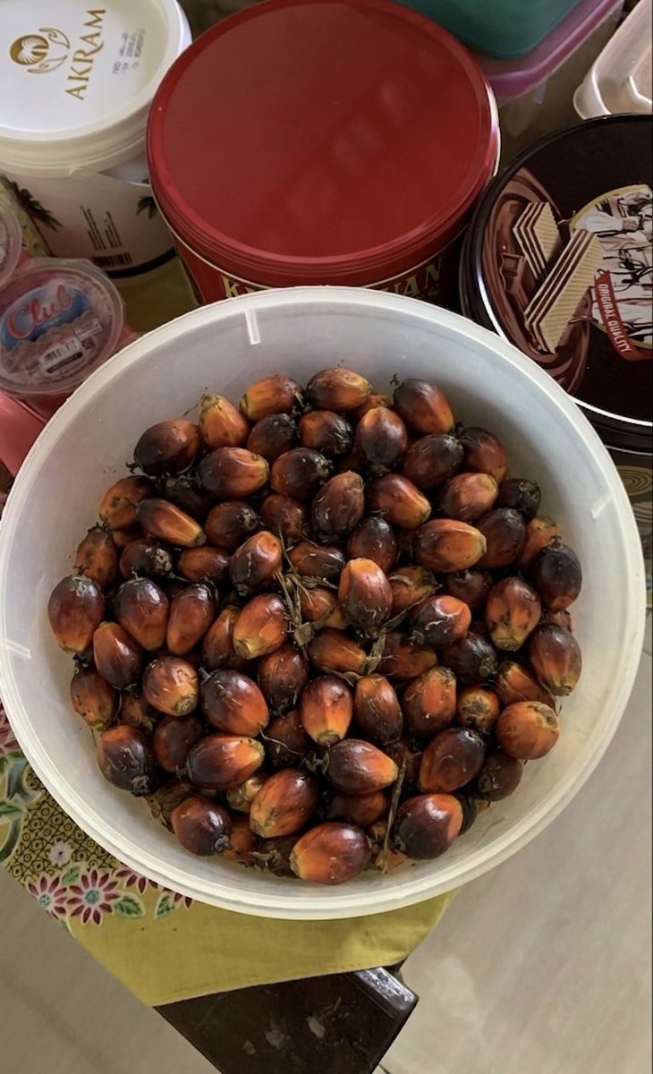 Catholic 𐕣 tweet media