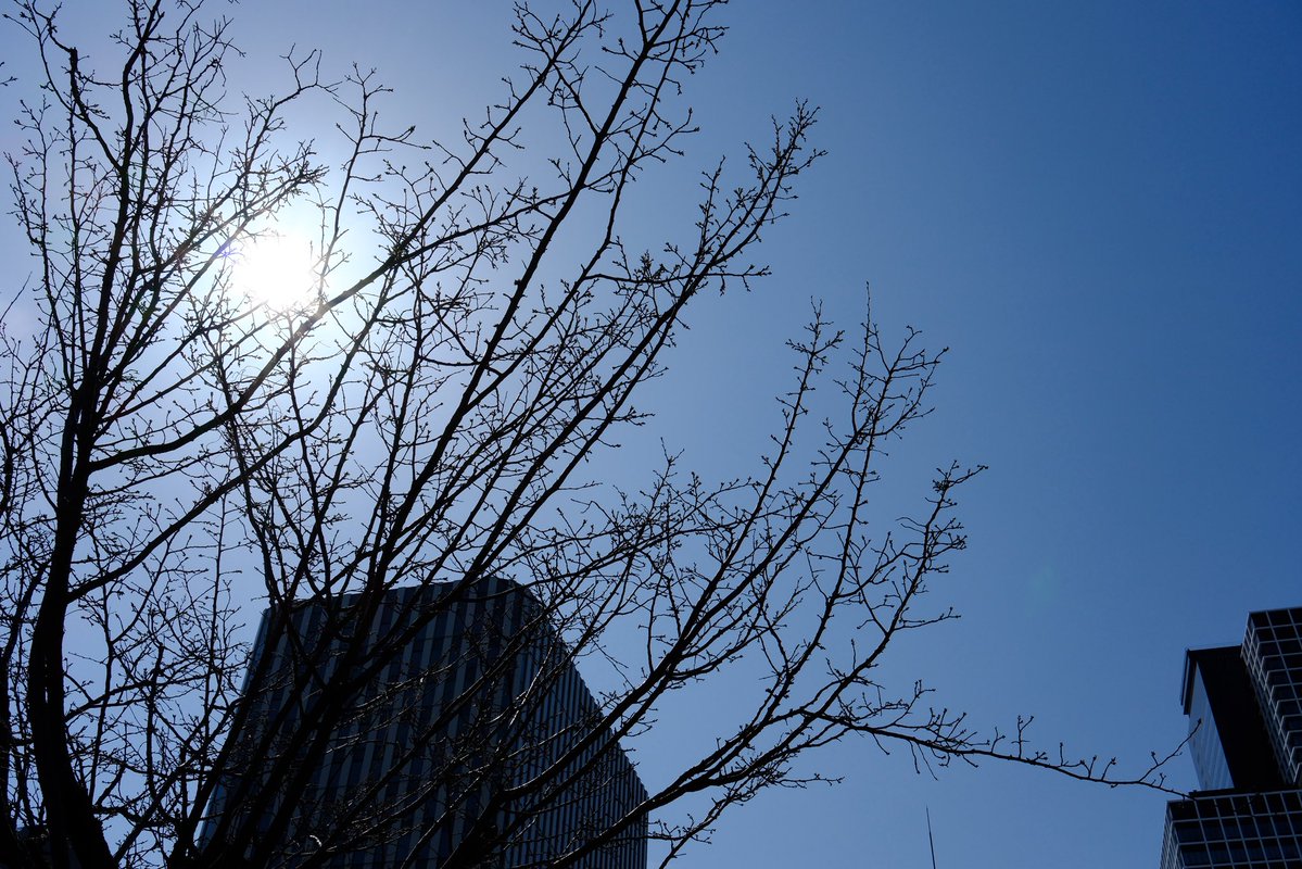 S.snafkine tweet media