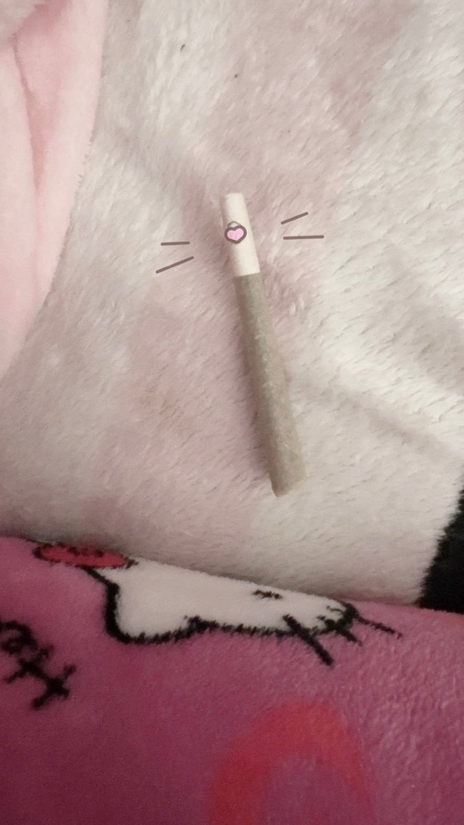 panda 🍡 tweet media
