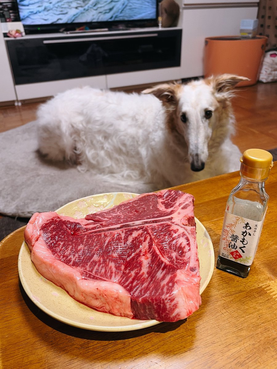 がんぼるぞい®︎ 💪🐶✨borzoi ボルゾイ tweet media