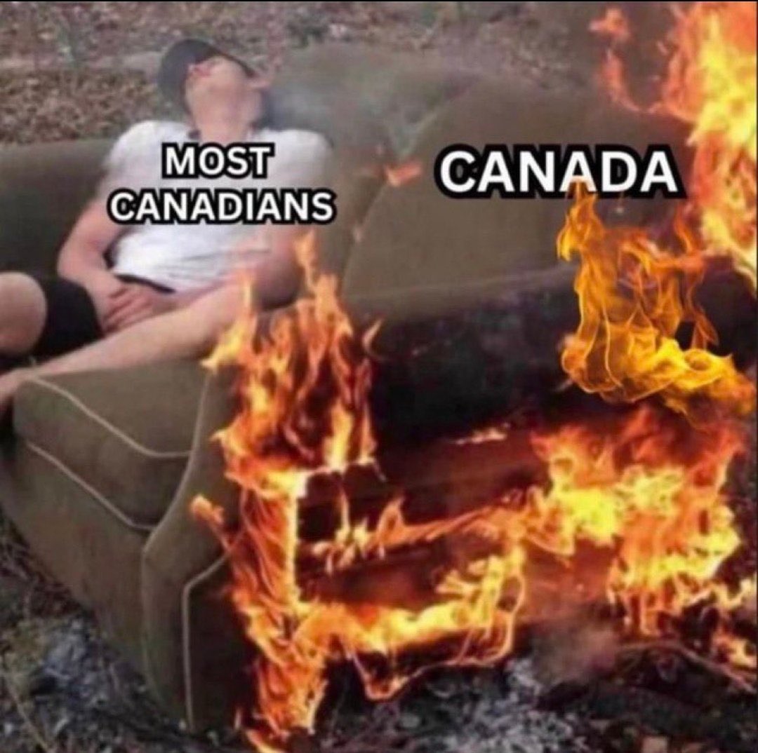 Average Joe 🇨🇦 🇺🇸 🇳🇱 🚜 🚛 tweet media
