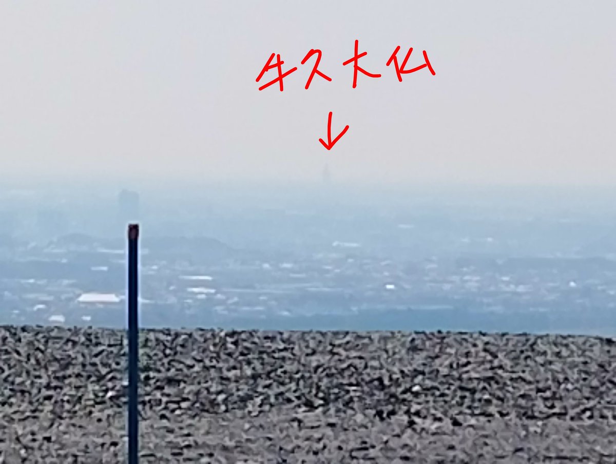 めにはにを tweet media