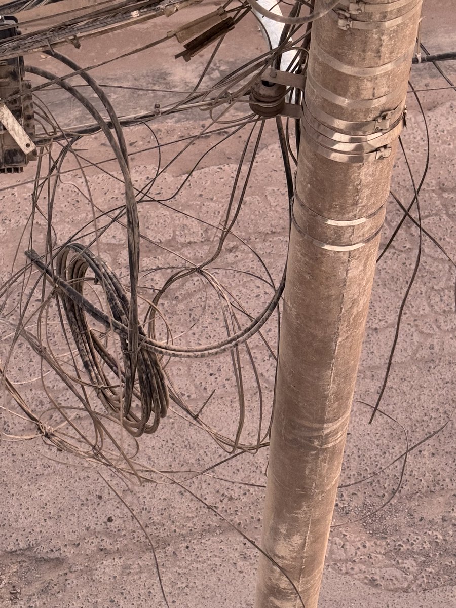 BIOSEGURIDAD tweet media