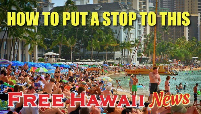 Free Hawaii tweet media