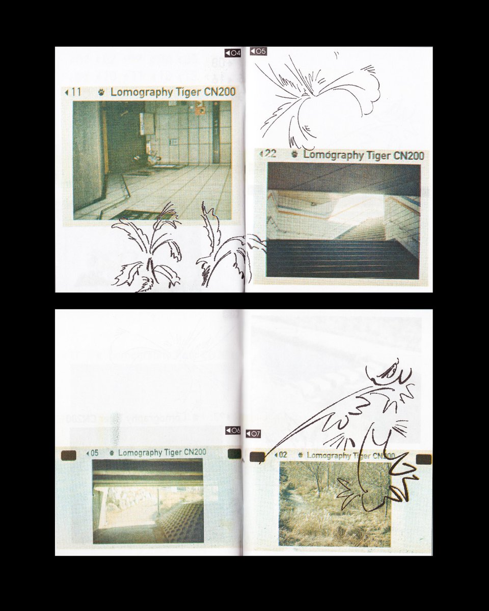 종이집 tweet media