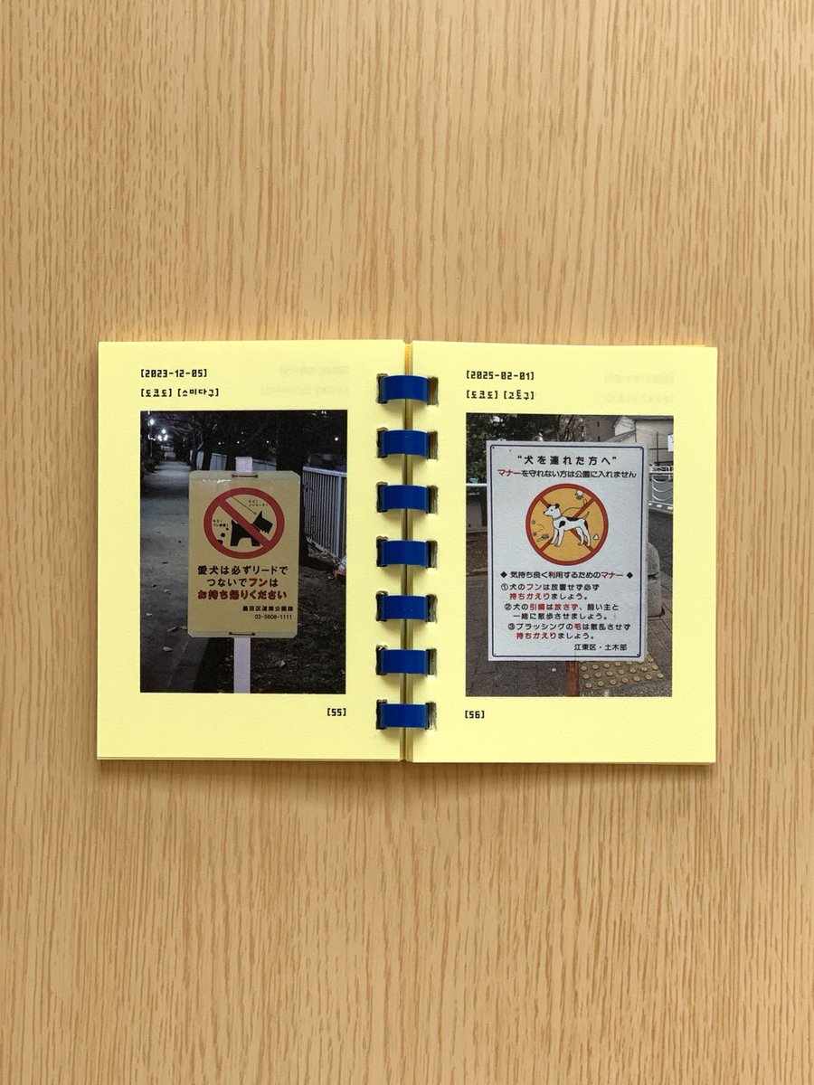 종이집 tweet media