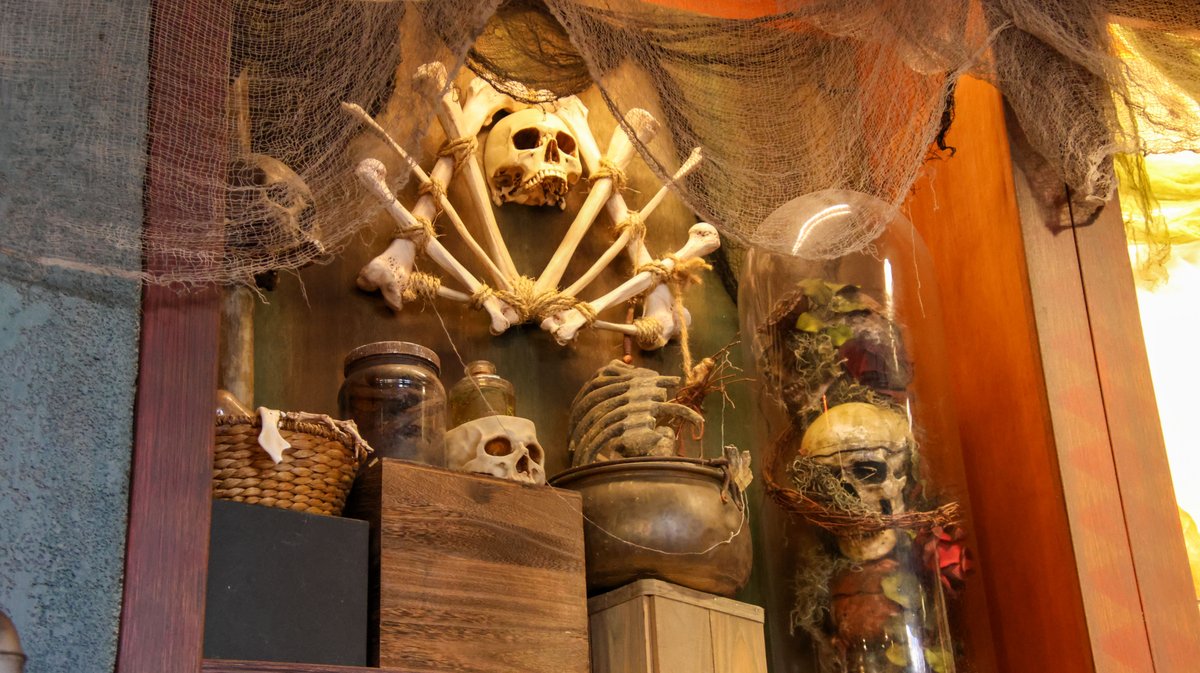 bioreconstruct tweet media