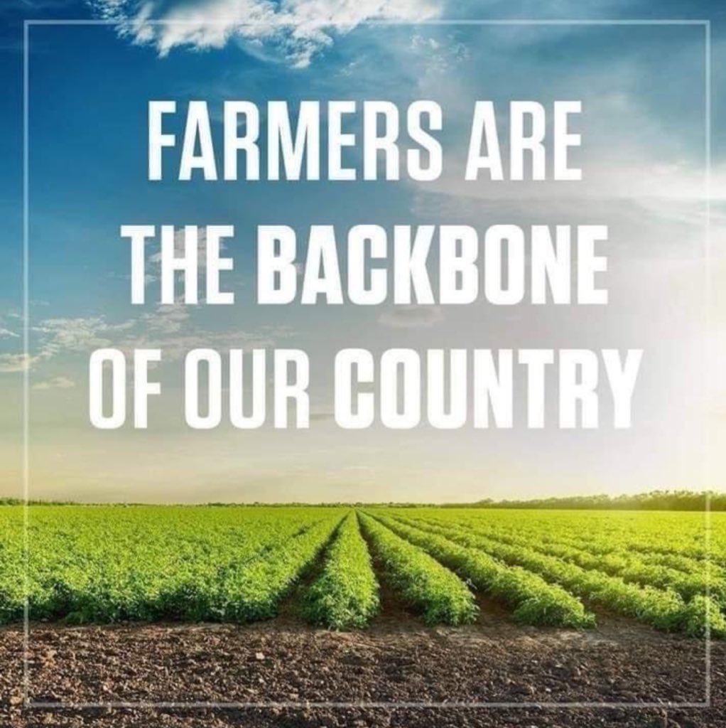 AmericanWoman_USA tweet media