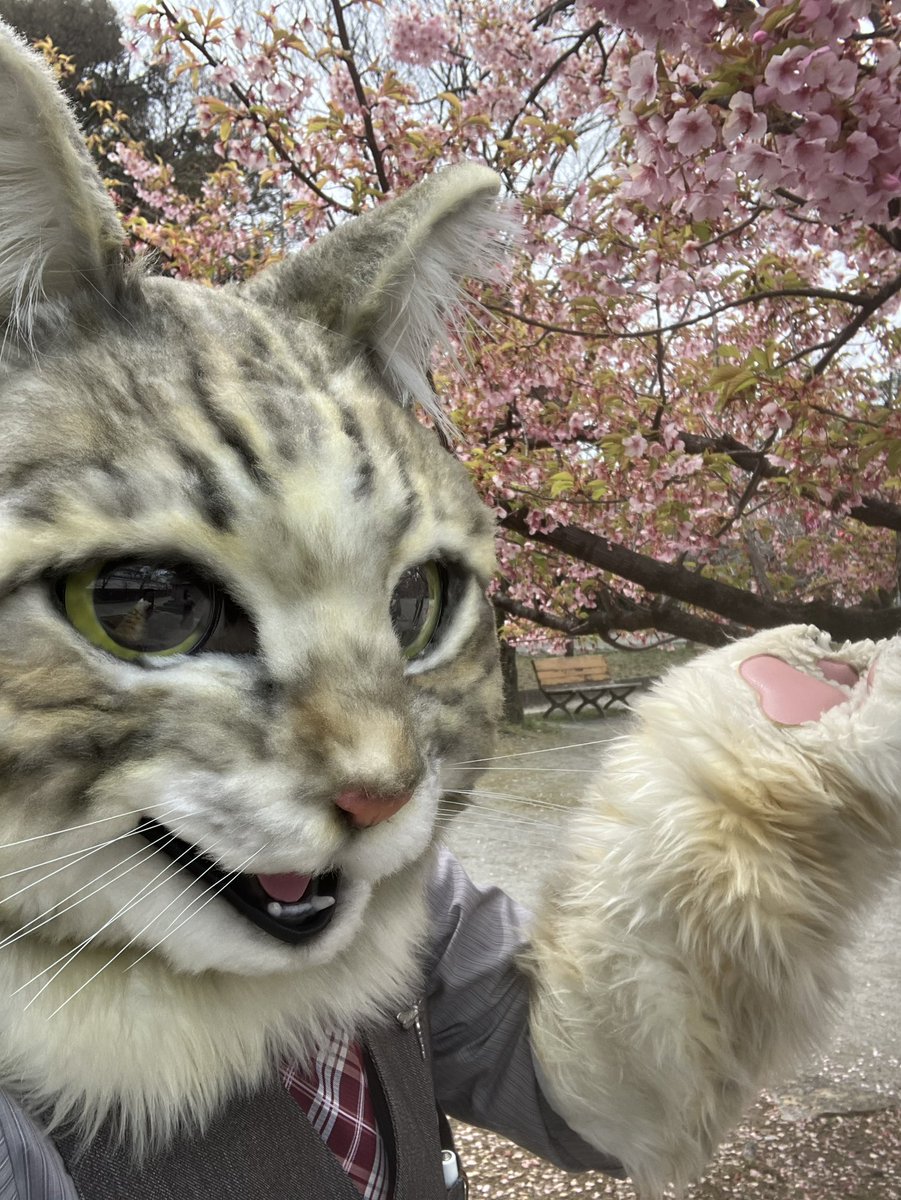 川崎文具店 tweet media