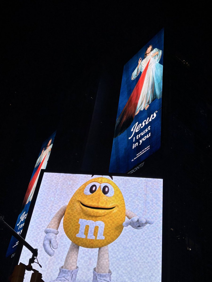 emily north tweet media