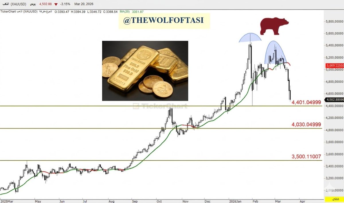 THE WOLF OF TASI ™ tweet media