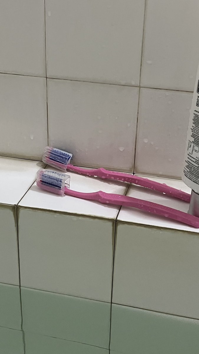 z. ١٣١٢ tweet media