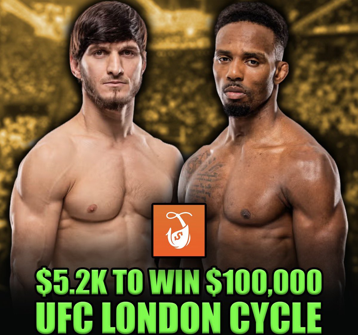 Matty Betss tweet media