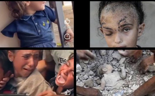 RAYMOND OLIVER tweet media