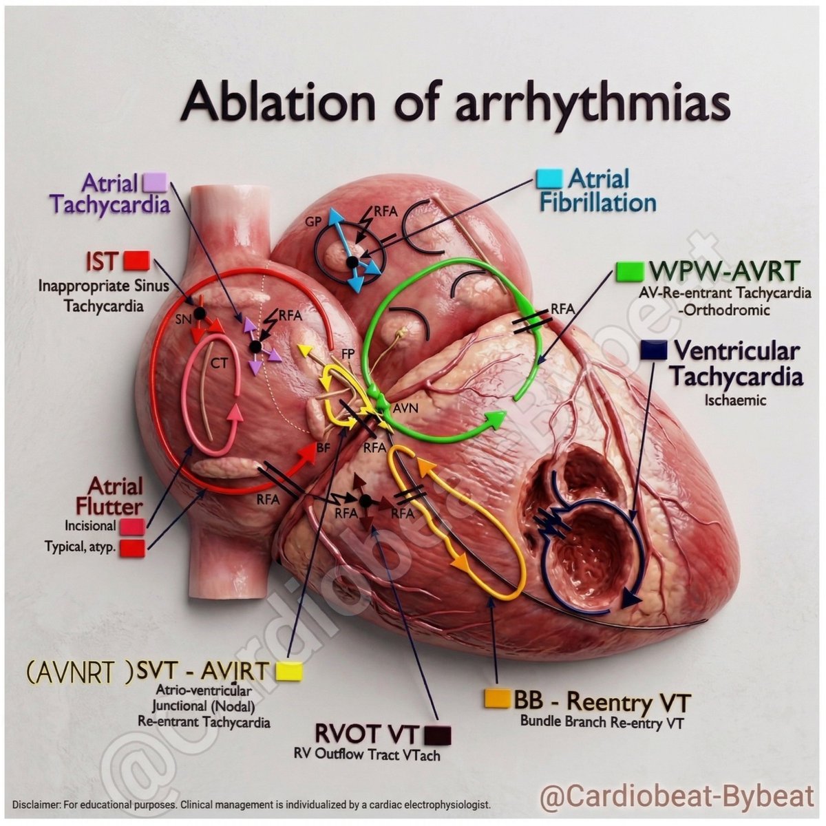 AbdAllah Othman tweet media