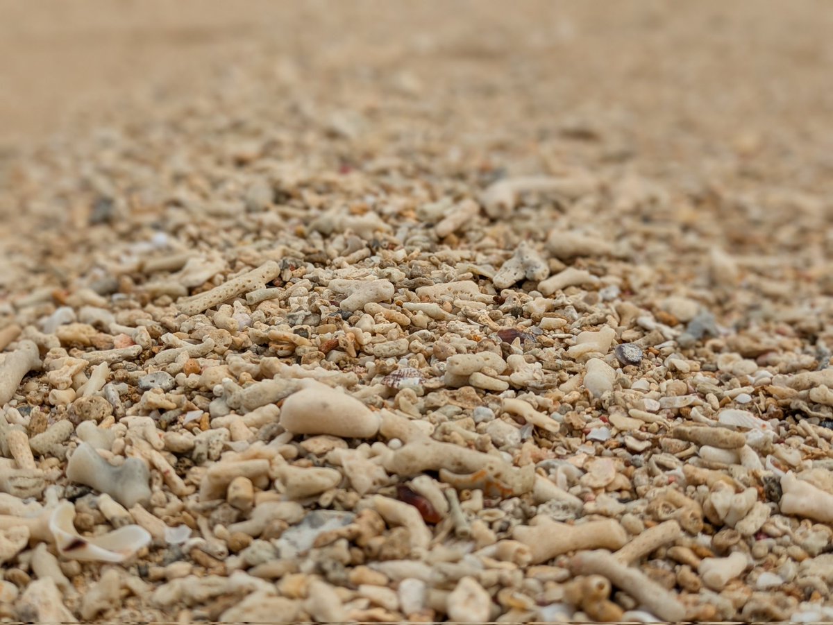 ひっとみん tweet media