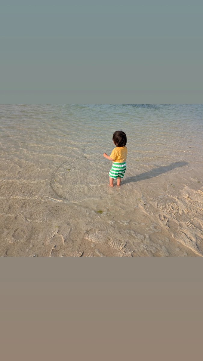 ひっとみん tweet media