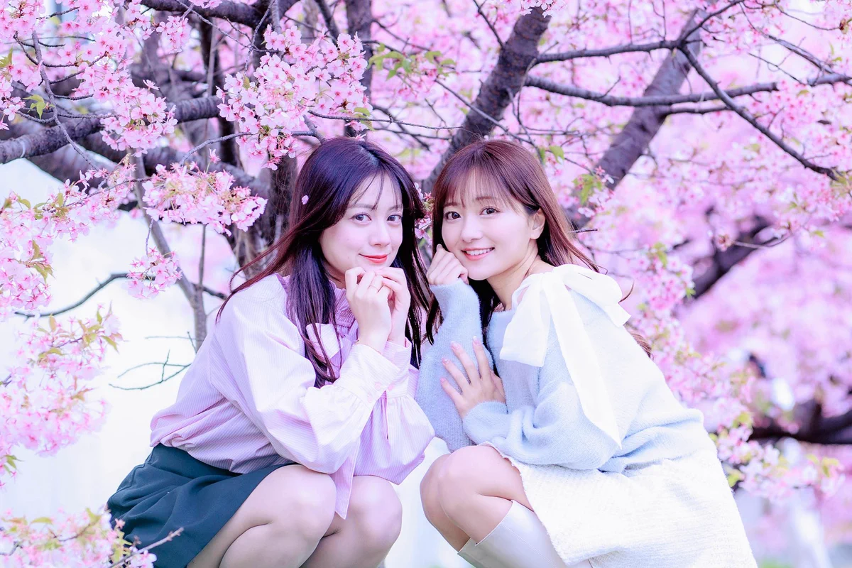 Replies by はな 🌼 (@hana_photo01) / X