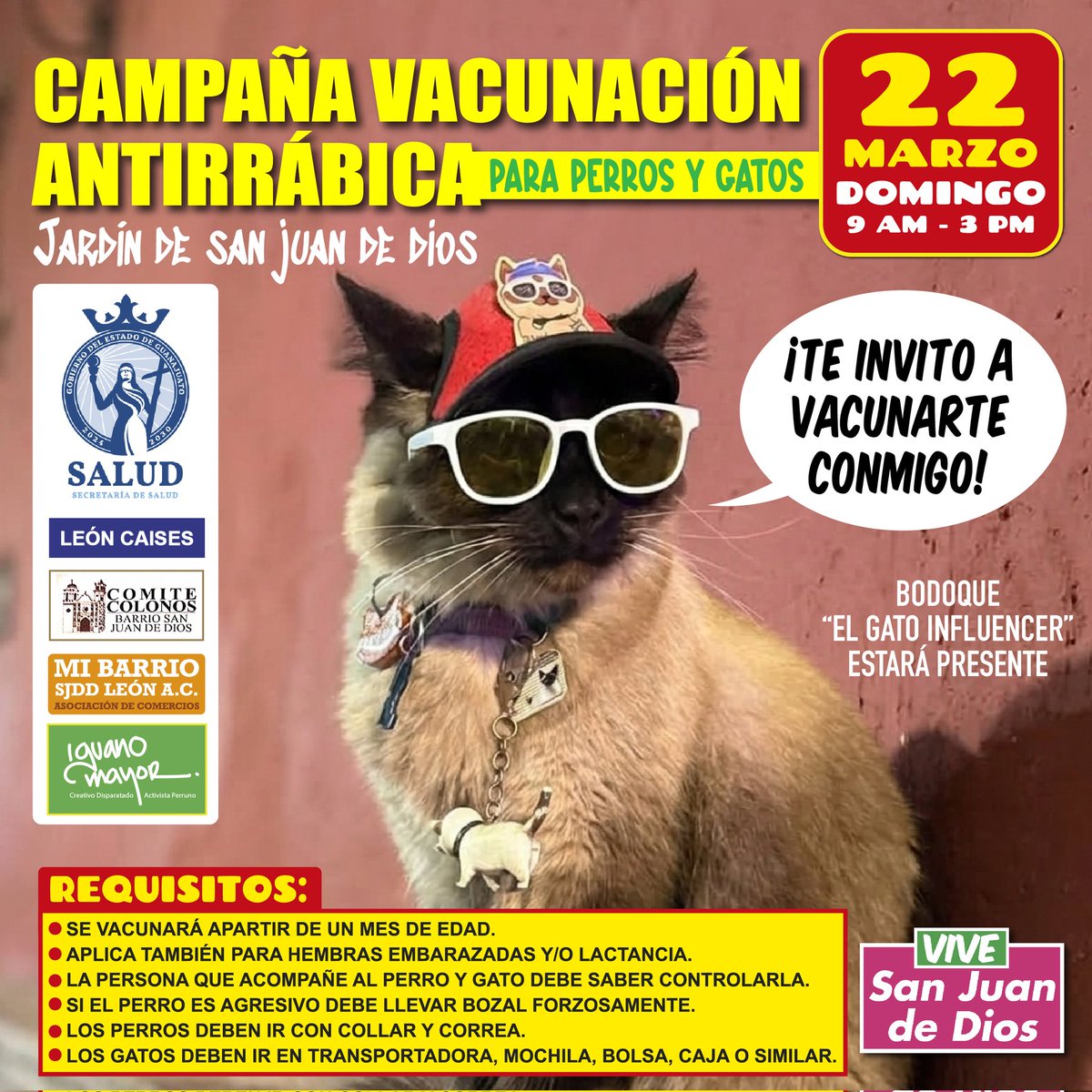 iguanomayor's tweet image. Recordándoles que esté #DomingüitoChido empieza la Campaña de #VacunaciónAntirrábica y yo estaré en el jardín de San Juan de Dios apoyando el puesto de vacunación de la @saludgobgente. 

También estará Roberto Gutiérrez, manager de #Bodoque el Gato Influencer. Ayudando con los