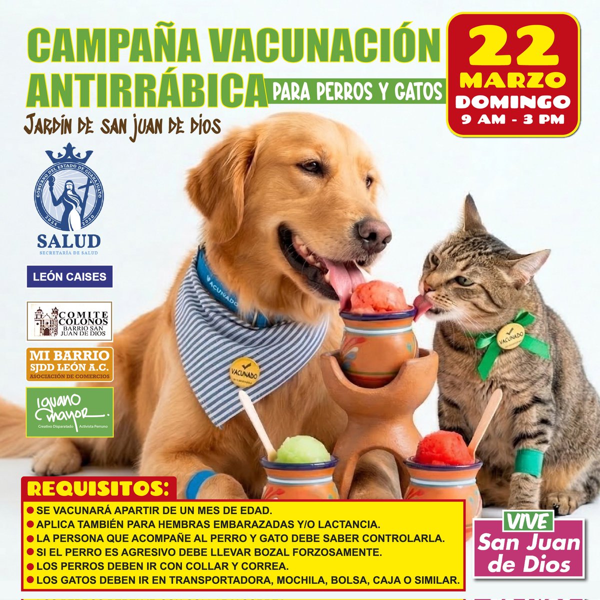 iguanomayor's tweet image. Recordándoles que esté #DomingüitoChido empieza la Campaña de #VacunaciónAntirrábica y yo estaré en el jardín de San Juan de Dios apoyando el puesto de vacunación de la @saludgobgente. 

También estará Roberto Gutiérrez, manager de #Bodoque el Gato Influencer. Ayudando con los